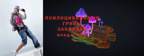 PSILOCYBIN Богданович