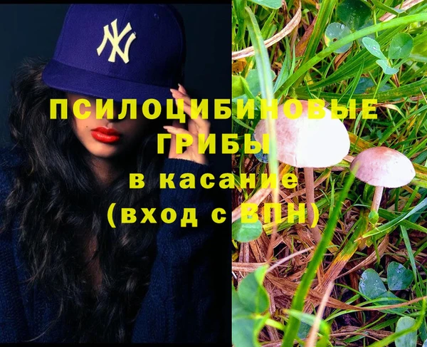 гидропоника Лихославль