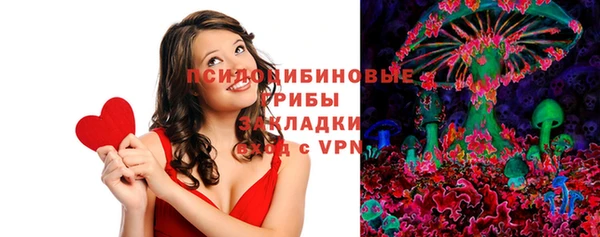 дмт Ладушкин