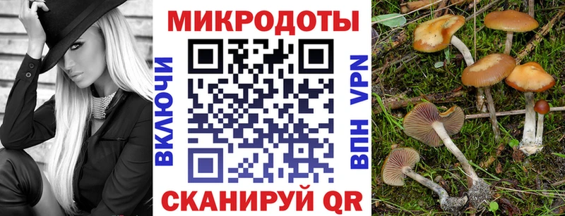 Псилоцибиновые грибы мухоморы  Ртищево 