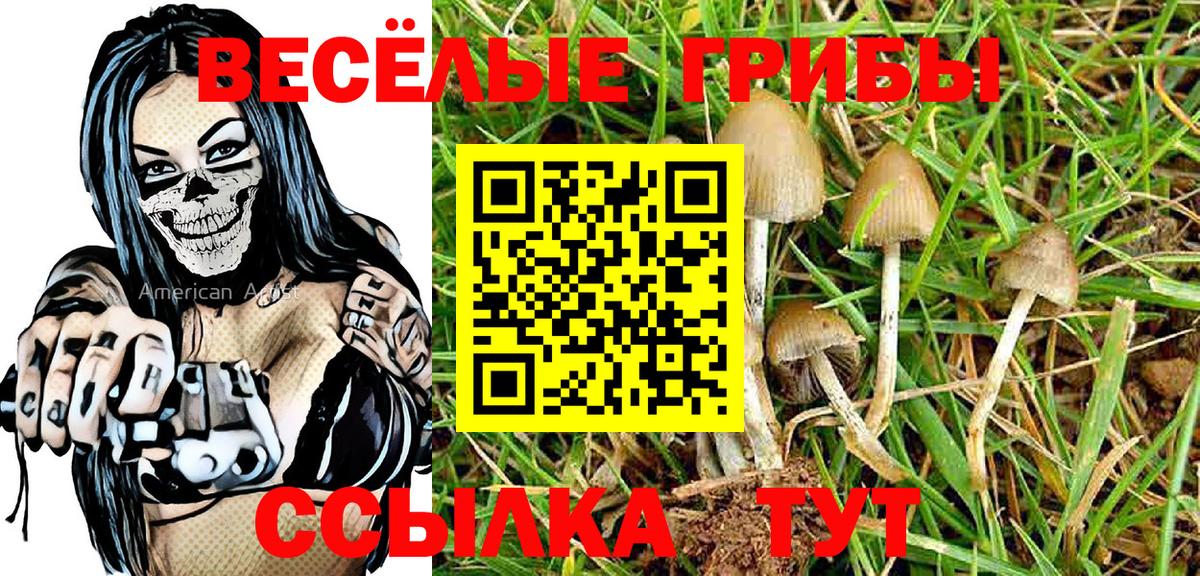 Псилоцибиновые грибы Psilocybine cubensis  Галлюциногенные грибы мицелий  Ртищево 