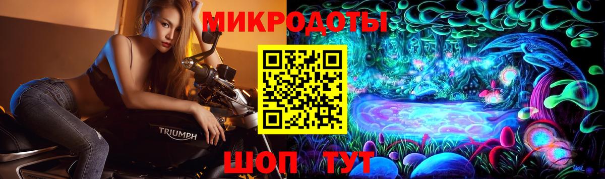 Ртищево  Псилоцибиновые грибы Psilocybine cubensis  Псилоцибиновые грибы мицелий  Вход с VPN 
